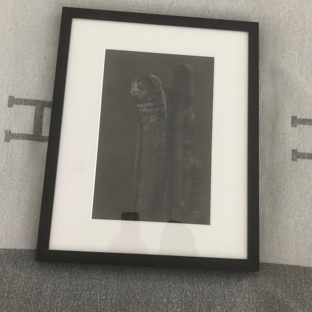 Fine Art signed by the author.